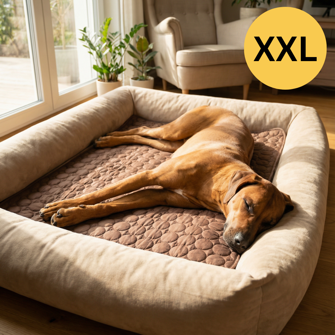 Summertime Cooling Mats for Pets (Dogs and Cats) | Buy One Get One Free