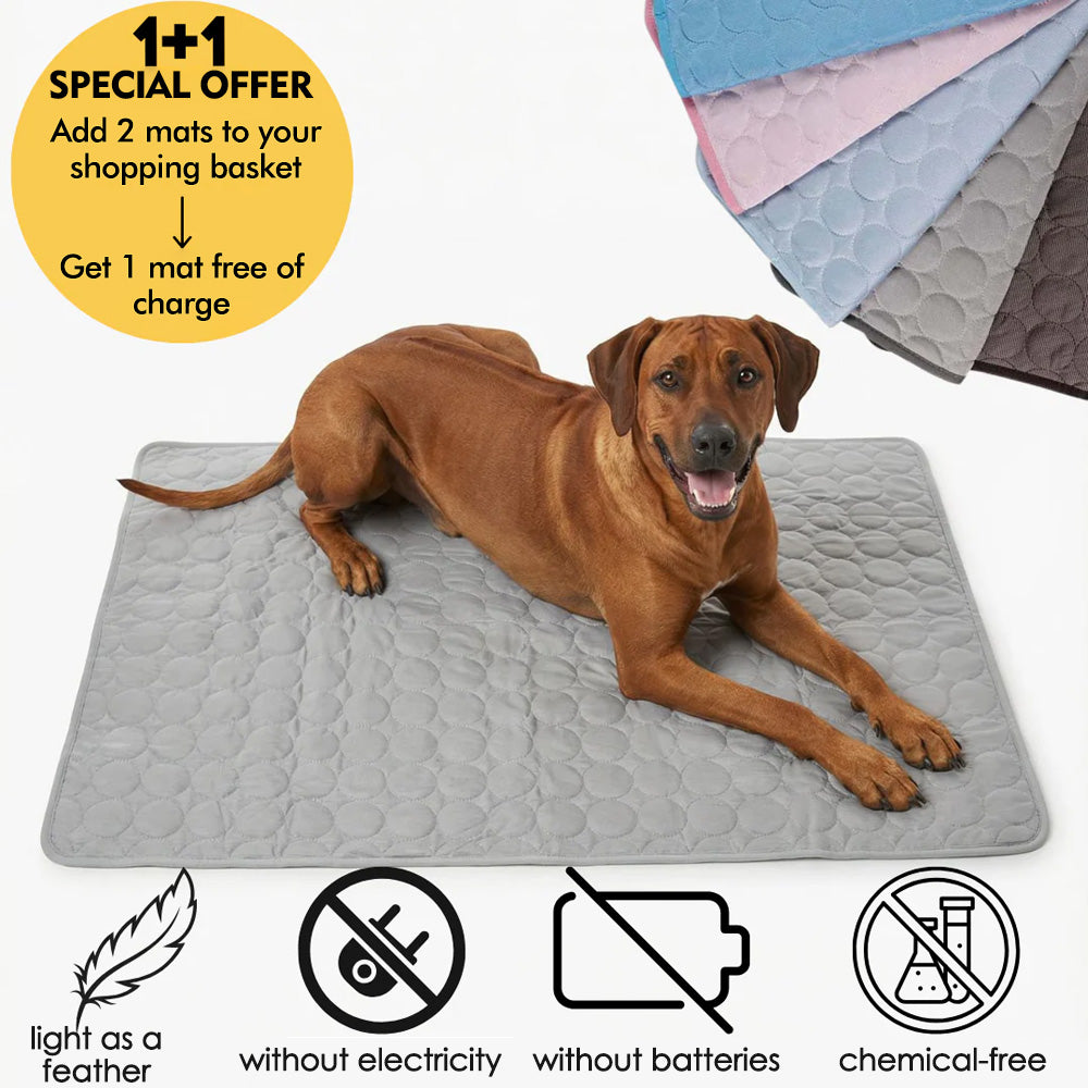 Summertime Cooling Mats for Pets (Dogs and Cats) | Buy One  Get One Free