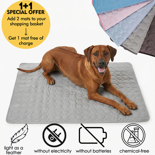 Summertime Cooling Mats for Pets (Dogs and Cats) | Buy One  Get One Free