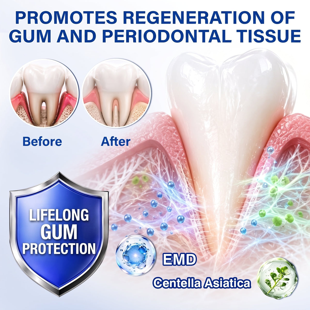 🤩Purelora® GumRevive periodontal repair gel