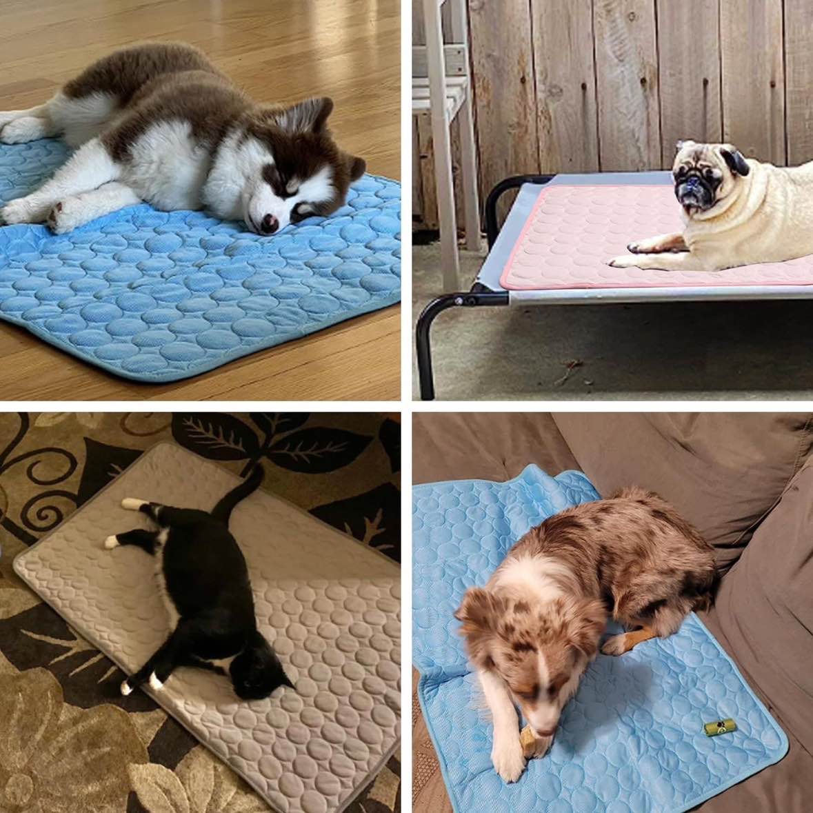 🌀Summertime Cooling Mats for Pets (Dogs and Cats) | Buy One  Get One Free