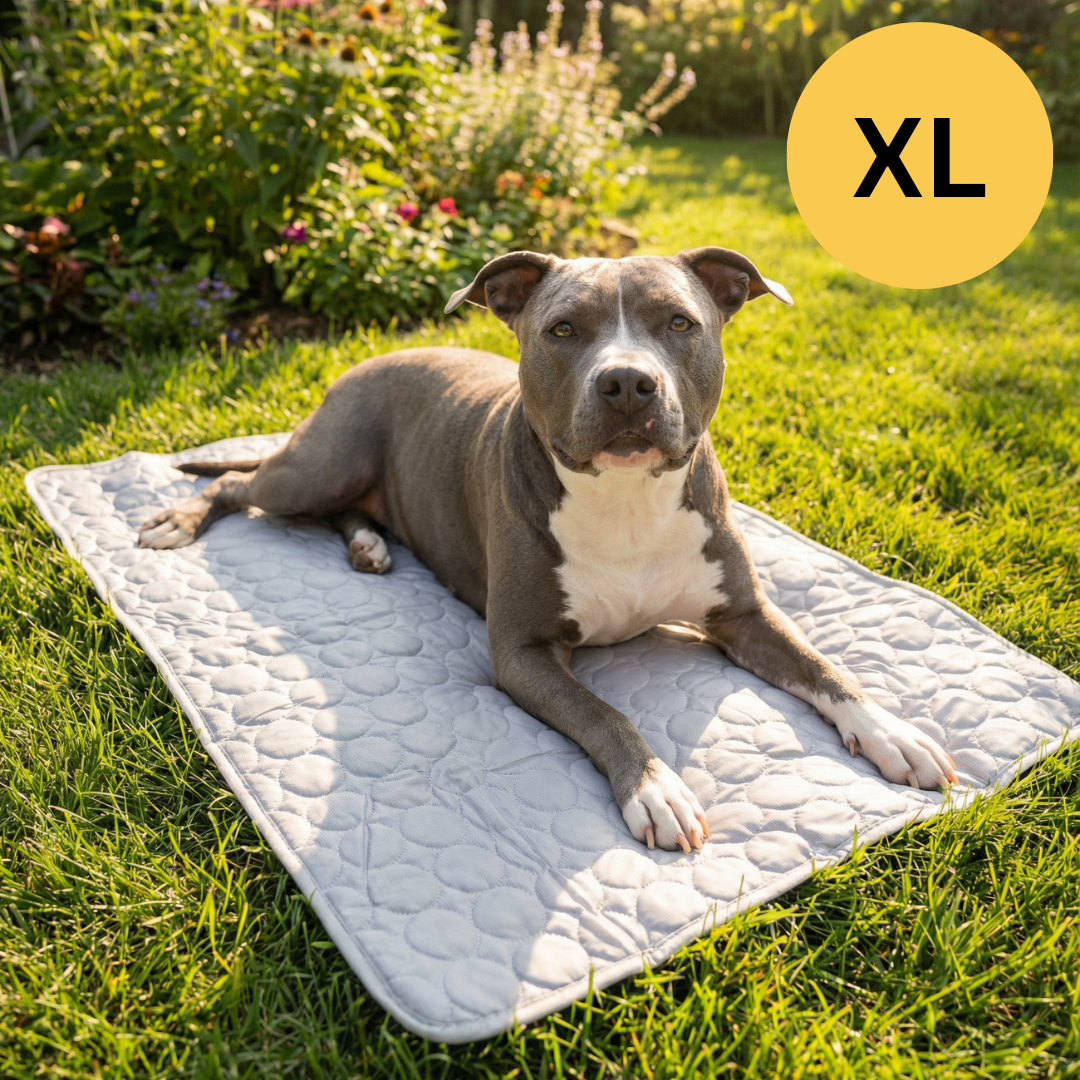 Summertime Cooling Mats for Pets (Dogs and Cats) | Buy One  Get One Free